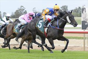 Bet You She Rocks makes it 2 from 3 for Matt Laurie Racing at Echuca on the 22nd April